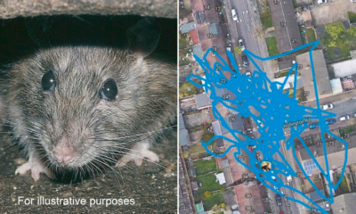 7346009F 3A26 4066 9A09 56F640CF89AB