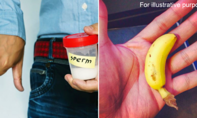 8D909533 E58A 4C65 A72B 1F06A1C7DE31