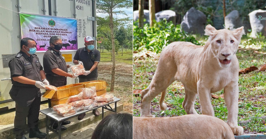 My Post 2021 03 09T105957.769