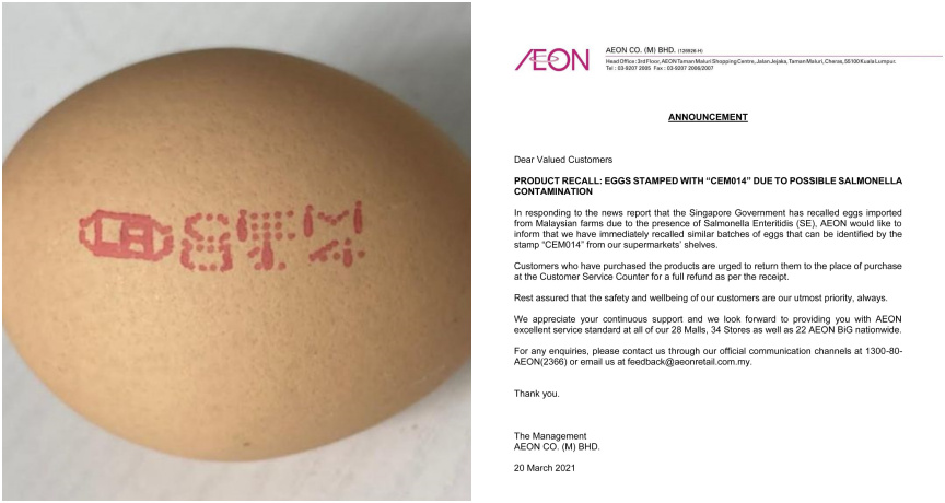 eggs ft