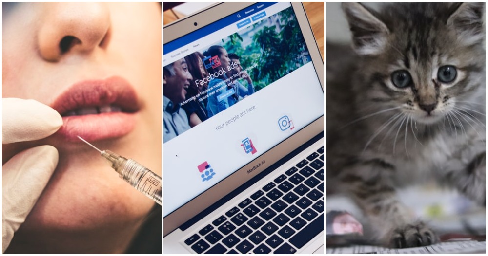 pjimage 2021 03 21T235332.519