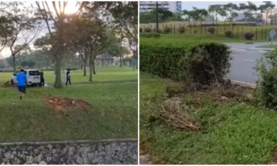 pjimage 2021 03 24T004937.722