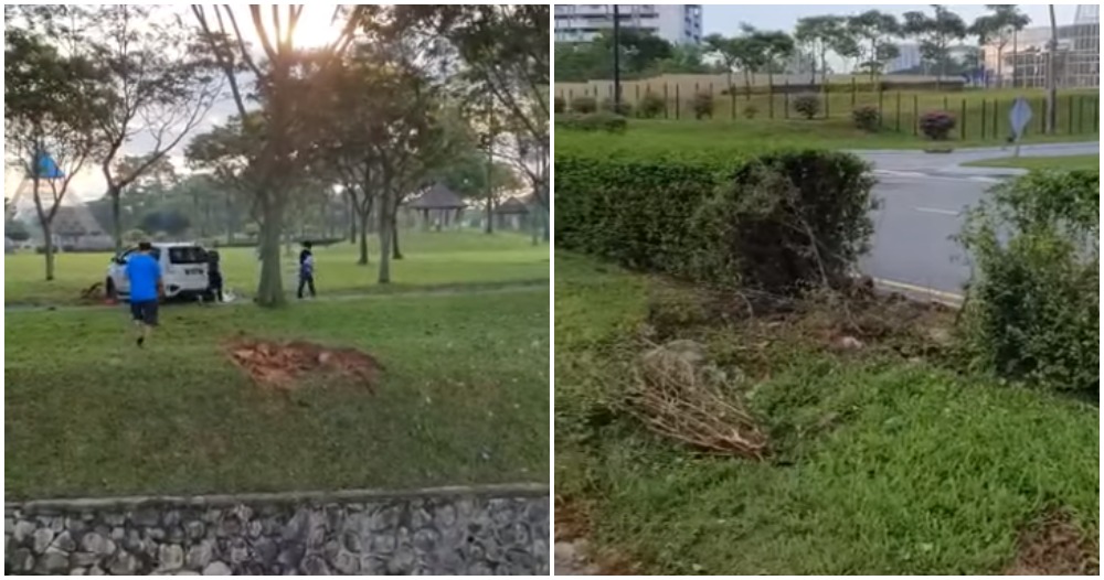 pjimage 2021 03 24T004937.722