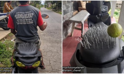 pjimage 2021 03 26T114400.988