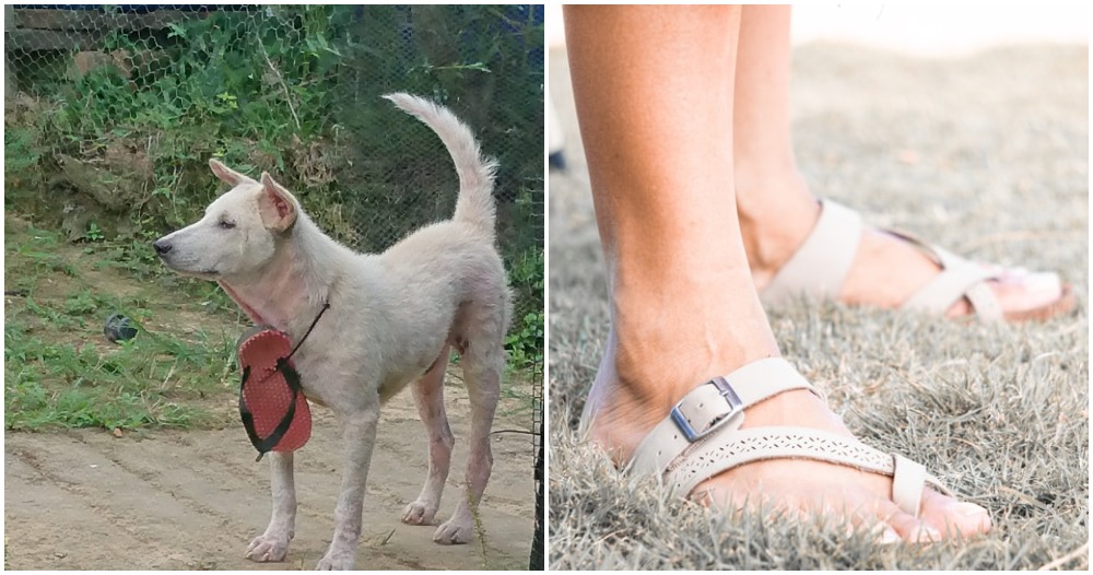 pjimage 2021 03 29T170721.884