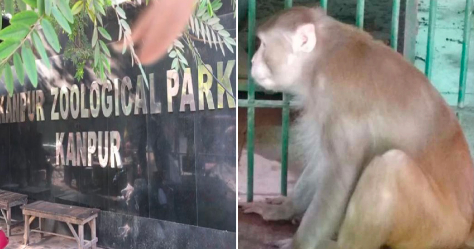 A6D0B4D0 D93C 4425 82A0 255C2D8EFCEA