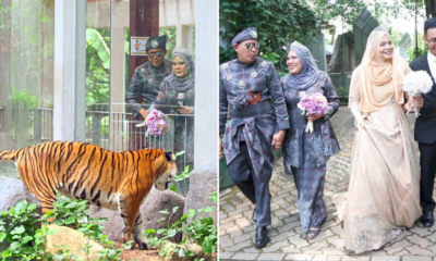 C91649FB FB0E 4E7F BA65 3ECA97F96C3C