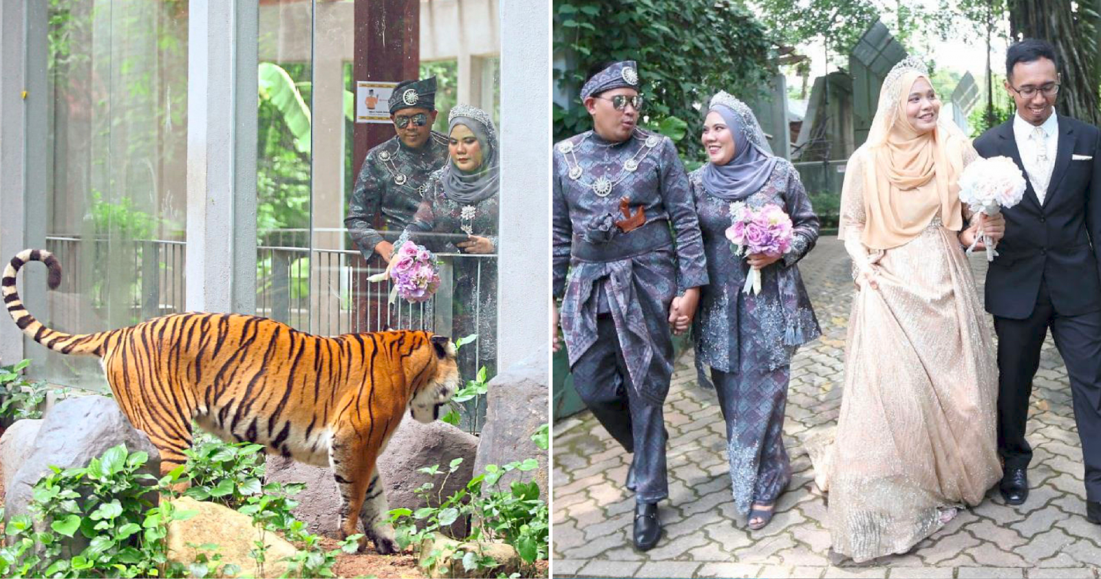 C91649FB FB0E 4E7F BA65 3ECA97F96C3C