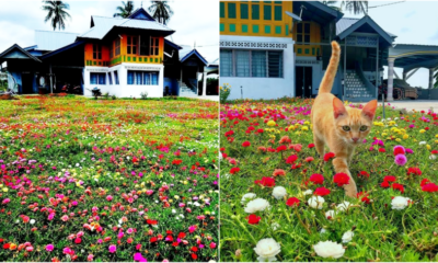 My Post 2021 04 05T131224.753