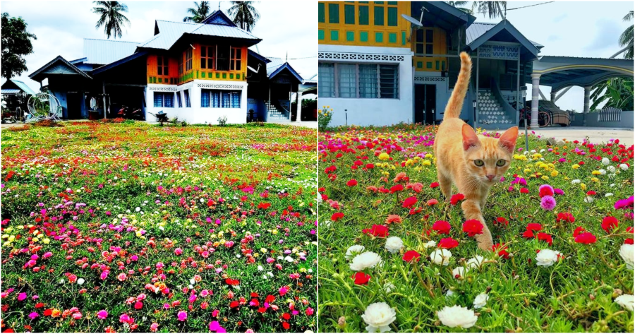 My Post 2021 04 05T131224.753