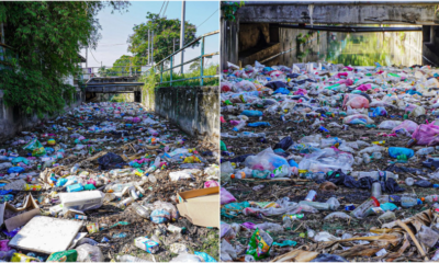 My Post 2021 04 07T142719.384