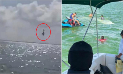 My Post 2021 04 09T121845.902