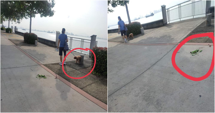 My Post 2021 04 12T120404.895