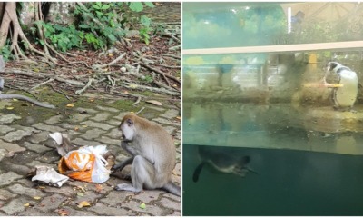 pjimage 2021 04 01T152653.244