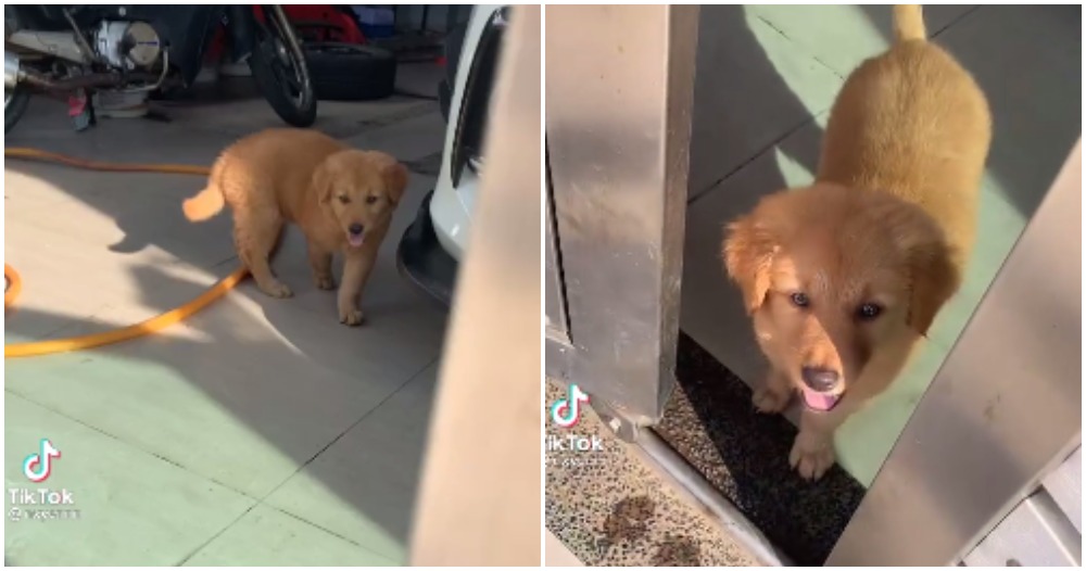 pjimage 2021 04 01T170343.829