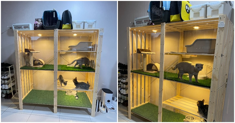 pjimage 2021 04 02T131745.632