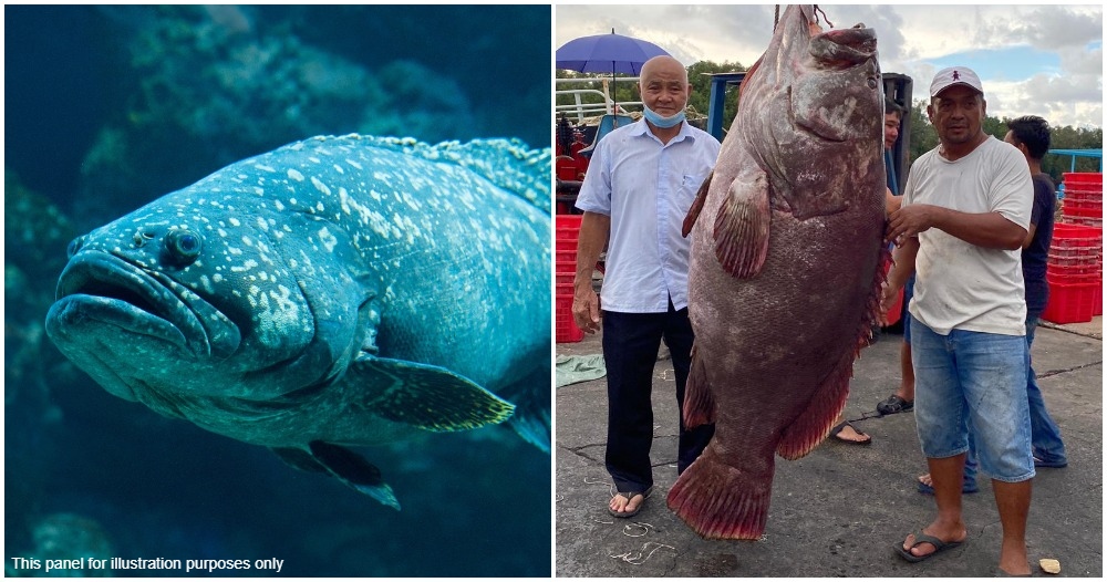 pjimage 2021 04 19T013745.677 1