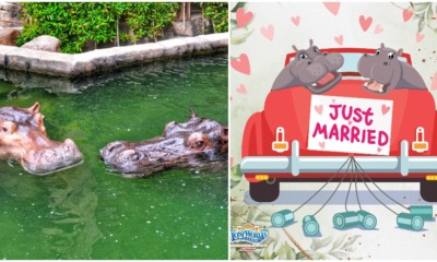 pjimage 2021 04 21T164215.632