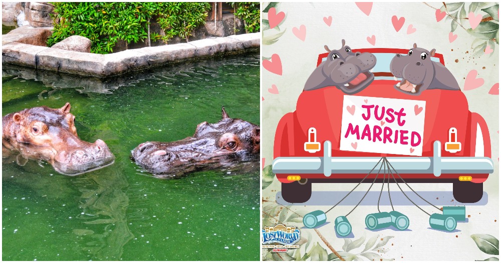 pjimage 2021 04 21T164215.632