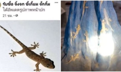 pjimage 2021 04 23T155738.768