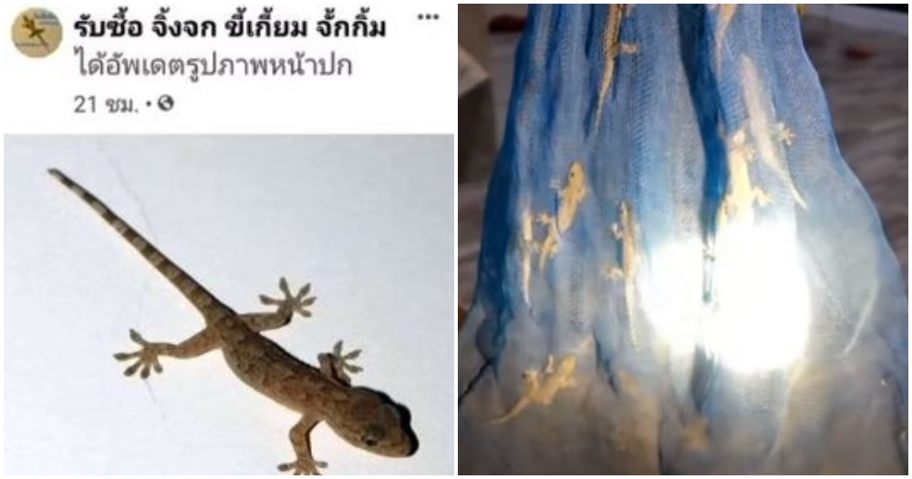 pjimage 2021 04 23T155738.768