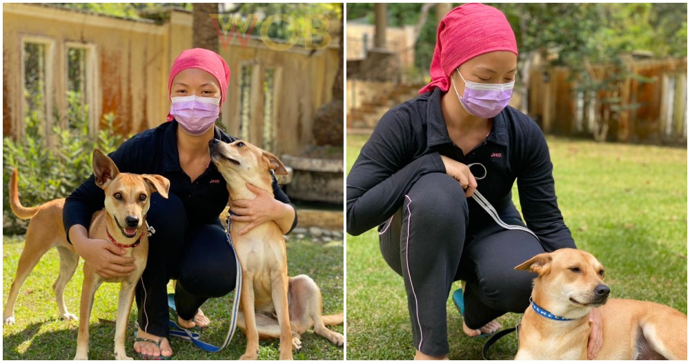 pjimage 2021 04 28T112759.937