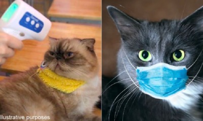 595E2DB6 38B7 4484 A68F E798385D0F1D