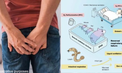 77247840 A8A4 48AC 8732 1F61BD31244E