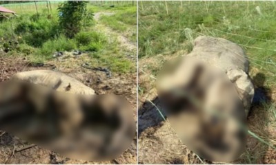 My Post 2021 05 06T152025.684