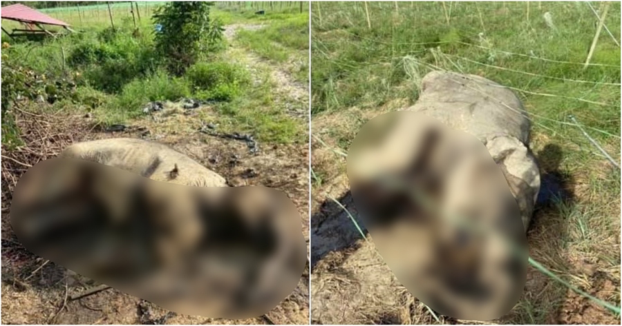 My Post 2021 05 06T152025.684