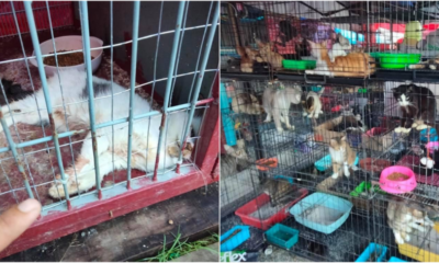 My Post 2021 05 11T103217.612