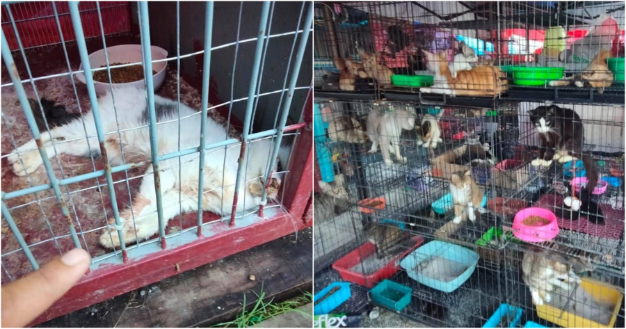 My Post 2021 05 11T103217.612