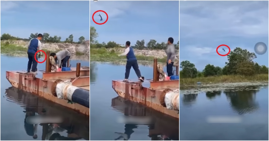 My Post 2021 05 20T130059.637