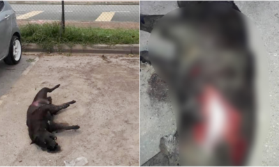 My Post 2021 05 26T161443.483