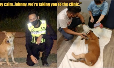 My Post 2021 05 31T181548.569