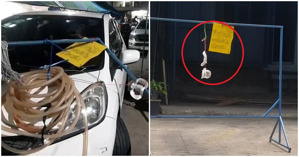 pjimage 2021 05 03T145736.284