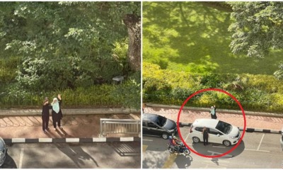 pjimage 2021 05 03T163357.979