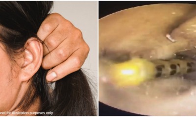 pjimage 2021 05 14T123415.671 1