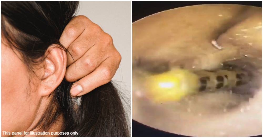 pjimage 2021 05 14T123415.671 1