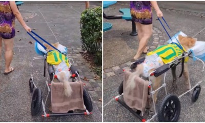 pjimage 2021 05 21T133418.231