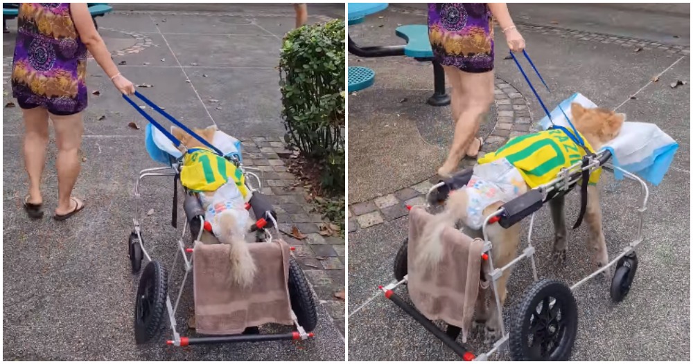 pjimage 2021 05 21T133418.231