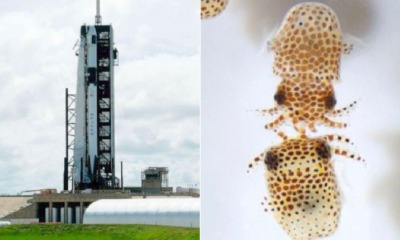 0DDB4B23 AD2A 4C32 9ECE F22B8B1DBF86