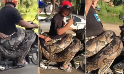 My Post 2021 06 02T124945.261