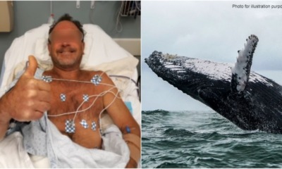 My Post 2021 06 14T161900.219