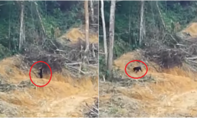 My Post 2021 06 23T140440.529