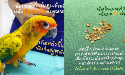 My Post 2021 06 25T113016.777