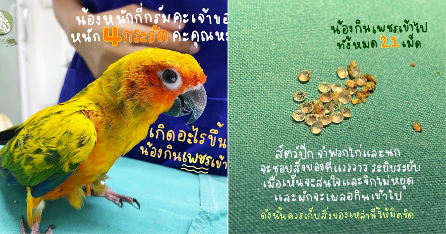 My Post 2021 06 25T113016.777