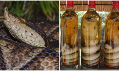 pjimage 2021 06 02T112332.273