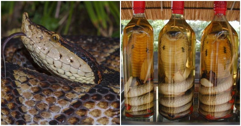 pjimage 2021 06 02T112332.273