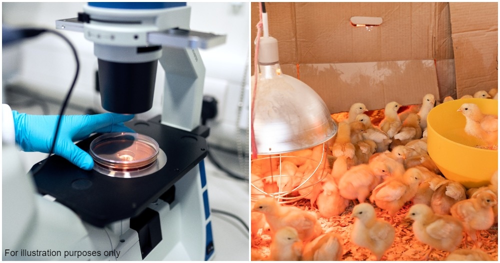 pjimage 2021 06 02T142347.848 1